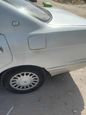 بطه كروان للبيع