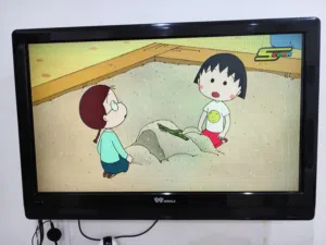 شاشة وانسا 42 بوصة