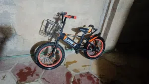 متاح بايسكل عدد 2