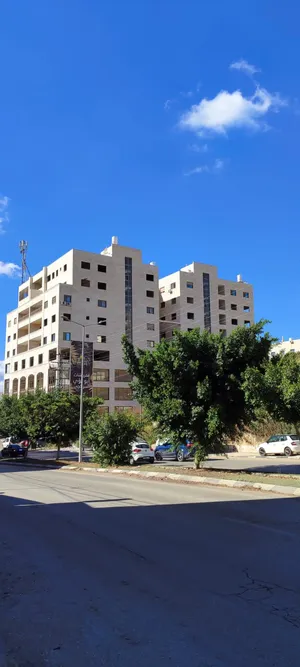 330 m2 . Landlord4