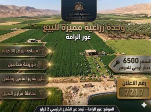رقم الاعلان (7217) فرصة استثمارية ذهبية في قلب غور الرامة / وحدة زراعية