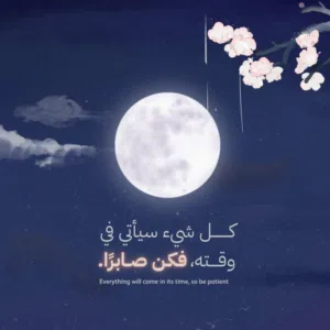 ابو زايد 
