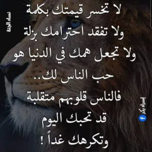 احمد العكاري