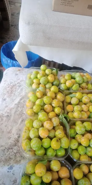 ‏خضار وفواكه‏3