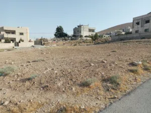 Residential Land for Sale in Zarqa Abu Al-Zighan