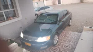 ماجد 