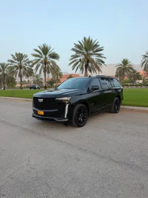 Used Cadillac Escalade in Muscat