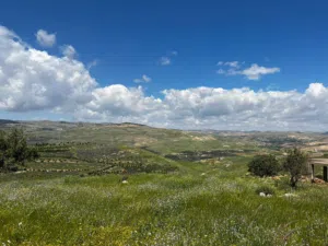 Farm Land for Sale in Zarqa Al-Alouk