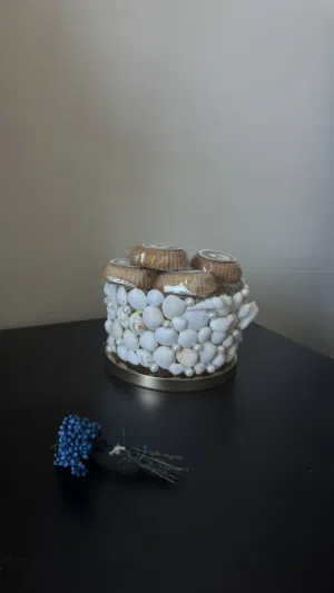 Handcrafted Luxury Display Jar (with Gold Lid)
