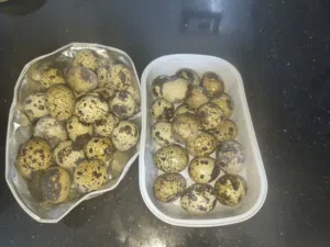 بيض فري السمان