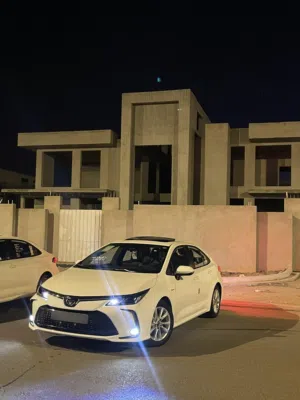 سلام عليكم كورلا فول 25رقم اربيل كفاله عامه ب168
