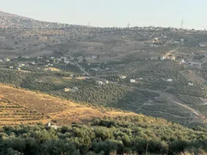 Farm Land for Sale in Jerash Kufair
