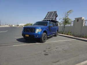 Used Ford F-150 in Muscat