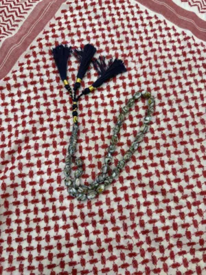 وين محبين التميز مسباح ما تحصل نفسه في السوق صدف بحري اب قطع بيضاوي وسعر خيالي جداً