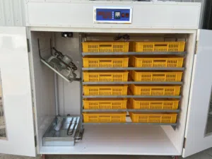 فقاسة بيض اتوماتيك بلس الشاملة المطورة