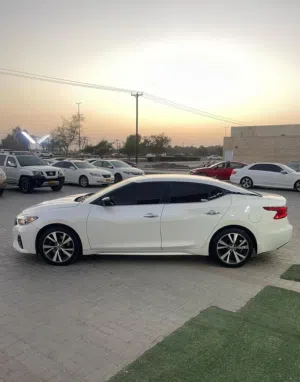 Used Nissan Maxima in Buraimi