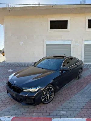 BMW 530e M