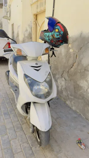 سگنس فحل نوزل
