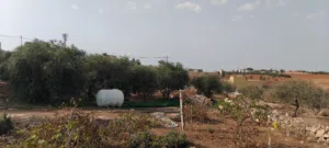 Mixed Use Land for Sale in Madaba Other
