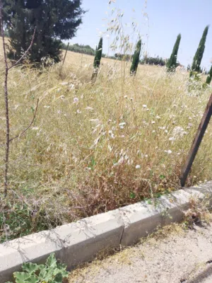 Farm Land for Sale in Madaba Al-Fayha'