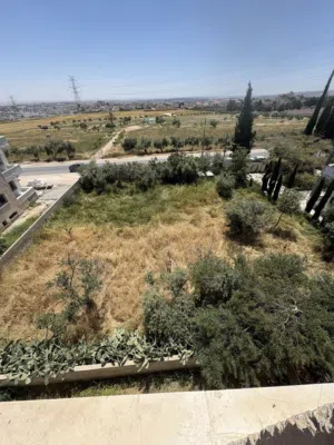 Residential Land for Sale in Amman Al Yadudah