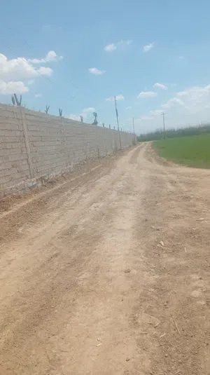ارض زراعيه طابو ملك صرف
