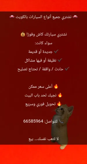 ‏سكراب - سيارات ومركبات أخرى‏3
