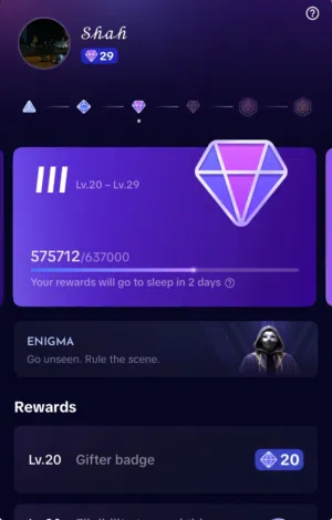 TikTok account level 29
