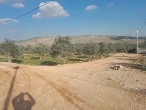 Residential Land for Sale in Jenin Al-Judeida