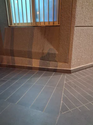 مشاركه سكن ستديو في الرقعي مفروش بالكامل