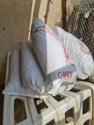 نفيعة الغنم مال السنه