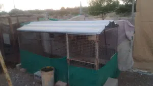 قفص للبيع بسعر مناسب