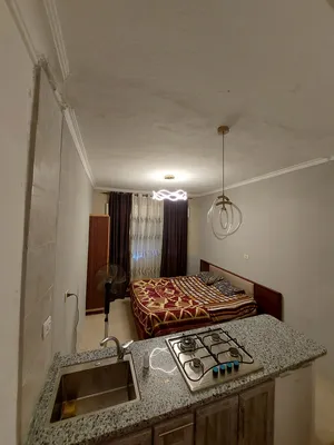 Furnished Daily in Amman University Street