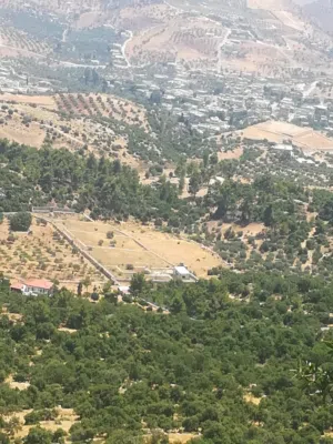 Farm Land for Sale in Jerash Borma