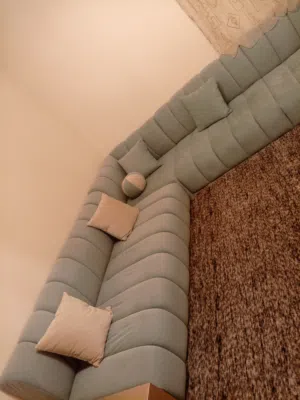 مجلس  لون جنزاري