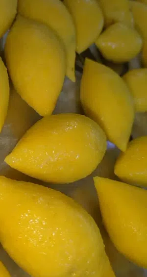 مطبخ هلا بصره لايوجد خدمه توصيل يتوفر كليجه وكبه ودولمه وإفطار سمبوسه يحب يحجز رقم الهاتف