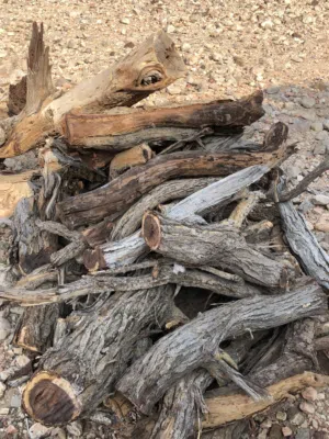 حطب سمر للبيع