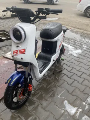 2025.     9R