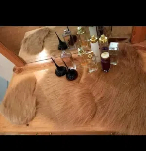 طابي فورير الناعم وأنيق