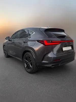 Lexus nx350 Gcc 2024 for sale خليجي