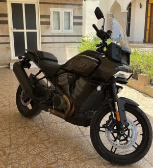 Harley Davidson Pan America 1250cc