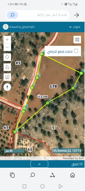 Farm Land for Sale in Zarqa Sarout
