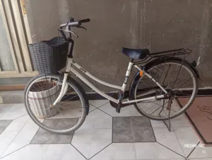 باسكل سياحي
