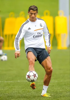 سعيد ابراهيم 