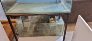 حوض سمك بحري