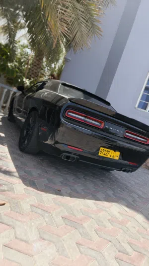Used Dodge Challenger in Al Batinah