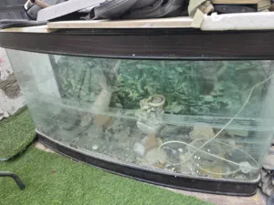 حوض اسمك كبيره  جوده عاليه حجم كبير