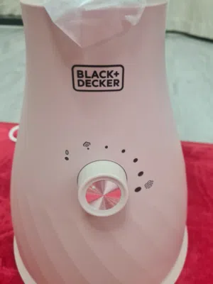 مكواة البخار