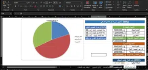 شيت إكسل احترافي لإدارة الشئون المالية اليومية لشركتك