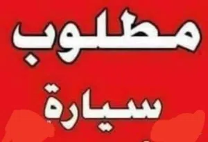 مطلوب سياره للبيع تكون عرطه